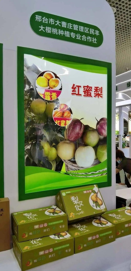 寧晉綠色農(nóng)產(chǎn)品在廈門綠博會(huì)廣受歡迎，水產(chǎn)品零售表現(xiàn)搶眼